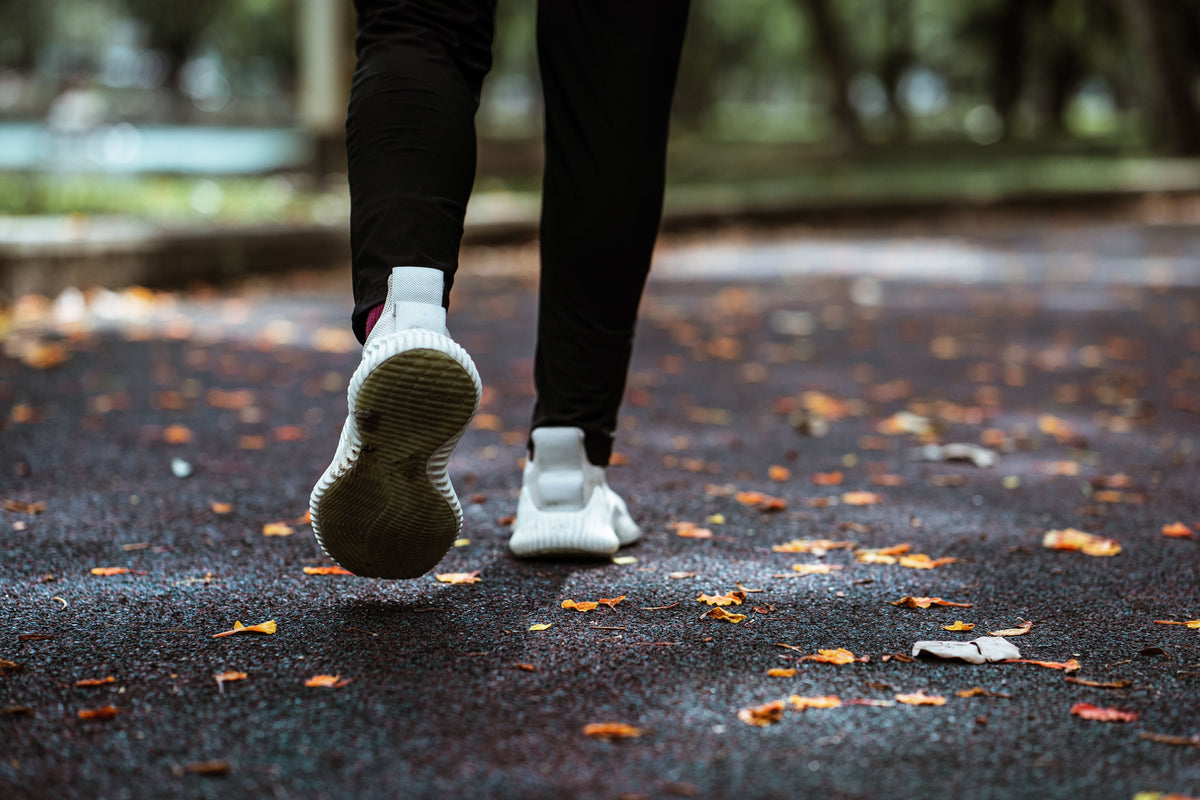 YESOUL Fall Recovery Guide: How Gentle Cardio and Low Impact Exercise Support Your Autumn Routine