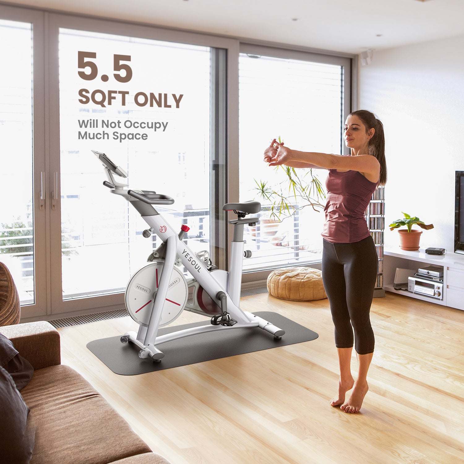 YESOUL S1 Indoor Exercise Bike(Available In US only)