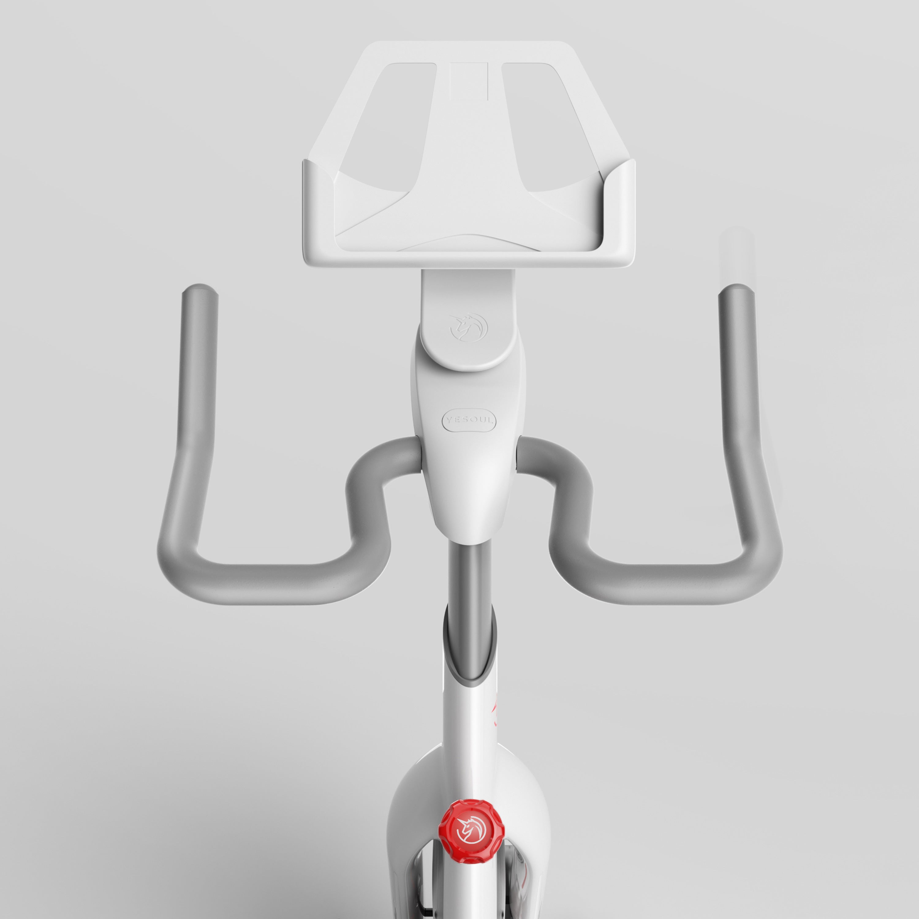 YESOUL S3 Indoor Exercise Bike