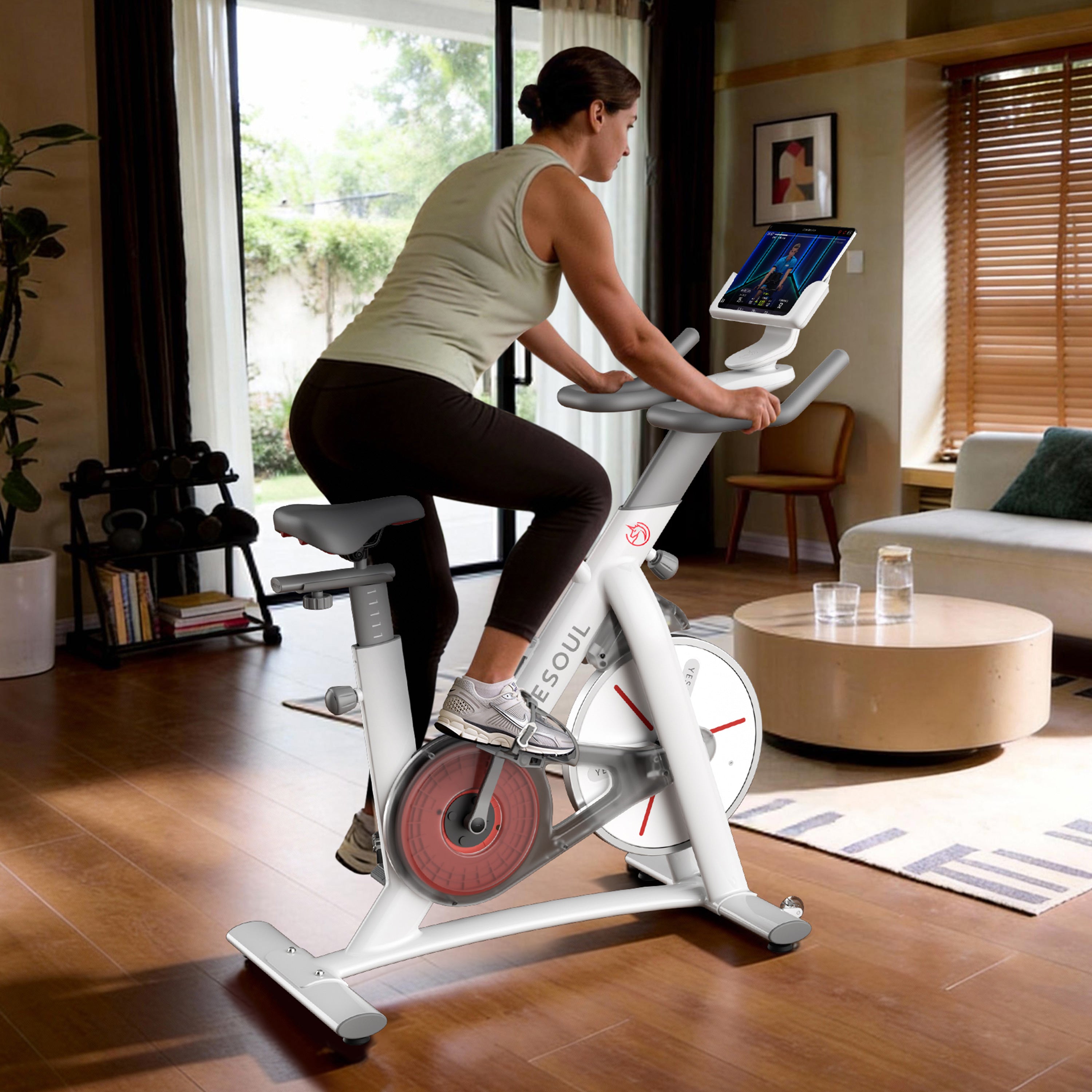 YESOUL S3 Indoor Exercise Bike - Best Smart Fitness Bike for Home